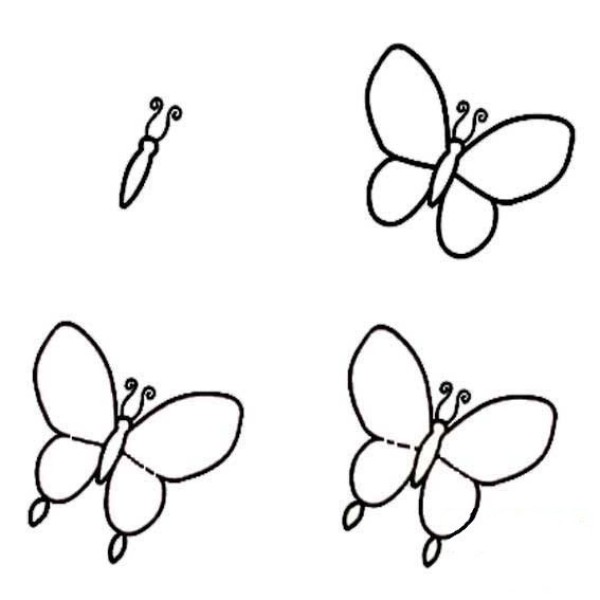 Simple strokes of butterfly for primary school students