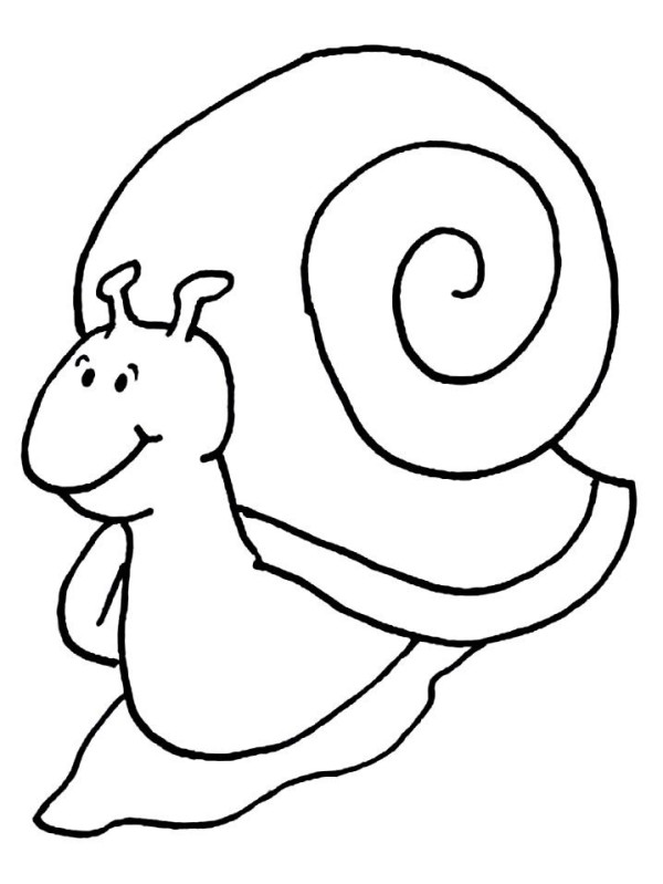 5 super simple drawing methods of snails