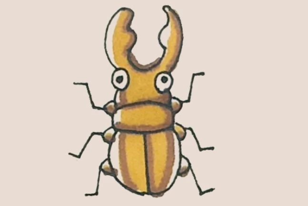 Simple drawing of beetle