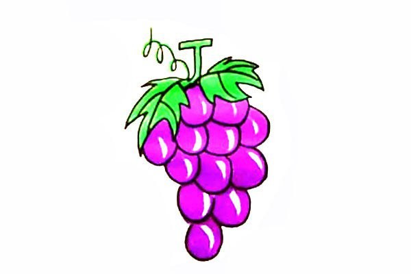 How to draw grapes