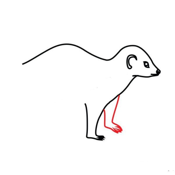 African weasel simple strokes drawing tutorial