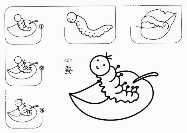 How to draw silkworm