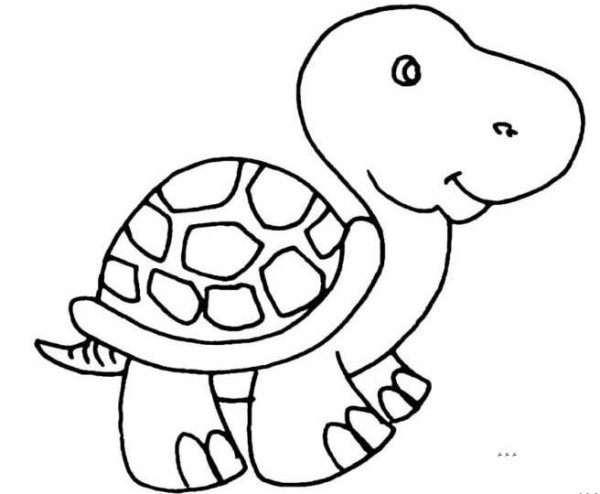 How to Draw a Cartoon Turtle Simple Drawing