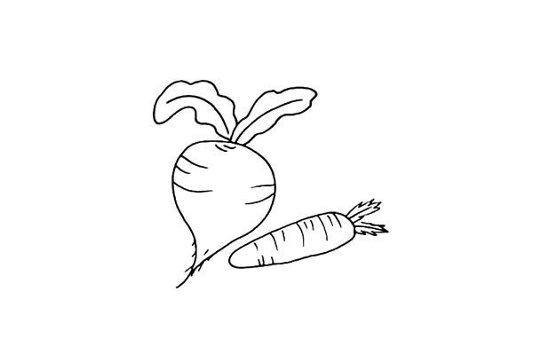 How to draw red radish