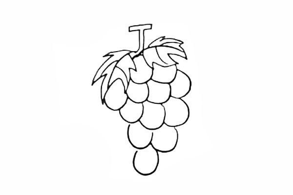 How to draw grapes