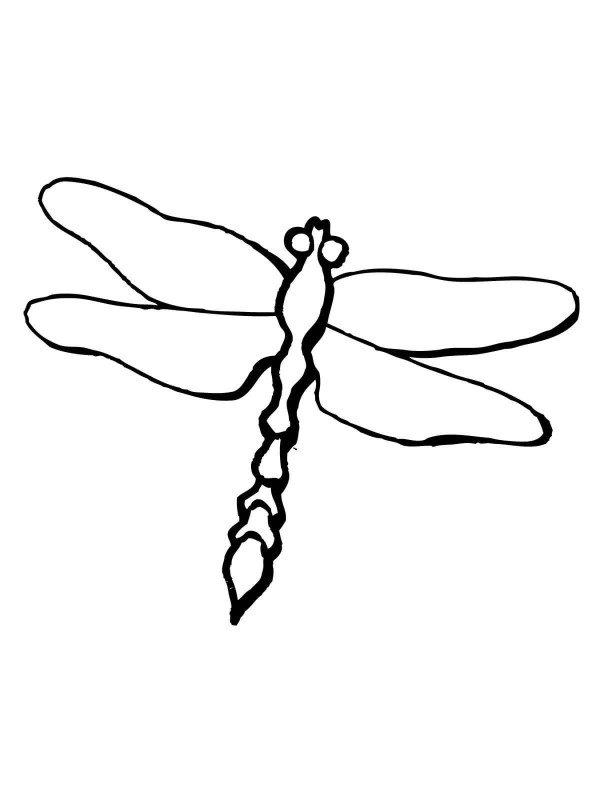 Dragonfly simple drawing method