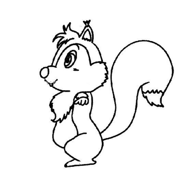 Ten simple drawing pictures of squirrels