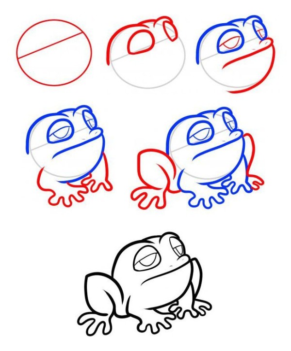 Simple animal drawing tutorial, step by step drawing of frog