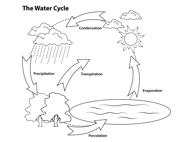 Simple drawing of water cycle in nature