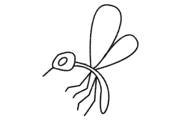 Complete collection of mosquito simple drawing pictures and drawing steps