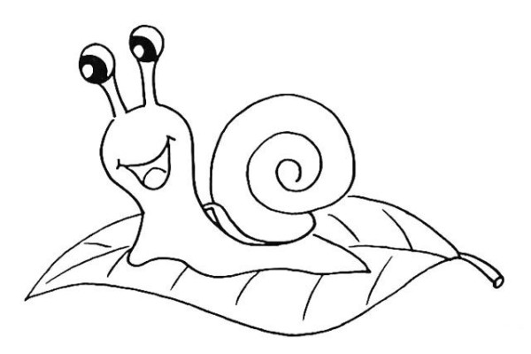 Draw a snail on the leaves step by step