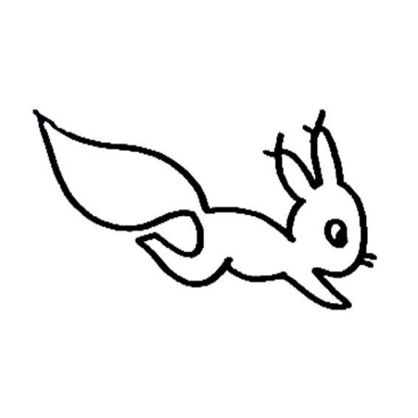 Simple drawing of squirrel for children to learn to draw