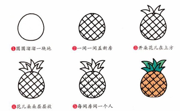 A complete collection of simple drawing tutorials. Step by step drawing of pineapple.