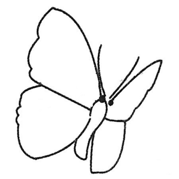 A complete collection of simple butterfly drawing pictures and drawing steps