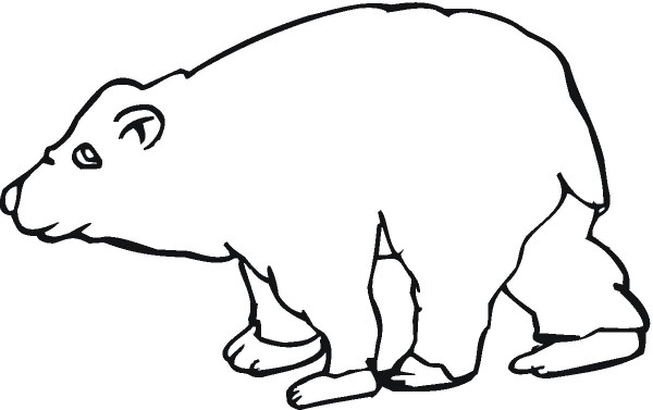 How to draw brown bear in simple strokes