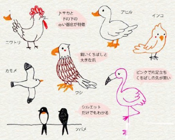 Seven kinds of Japanese animals simple drawings