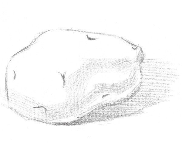 Drawing Techniques of Sketching Potatoes