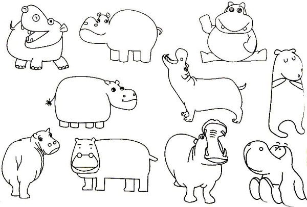 Complete collection of hippopotamus simple strokes and drawing steps