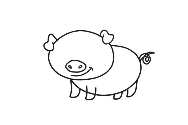 Draw a cute little pig