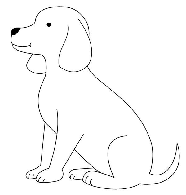 Cute Labrador puppy simple drawing picture