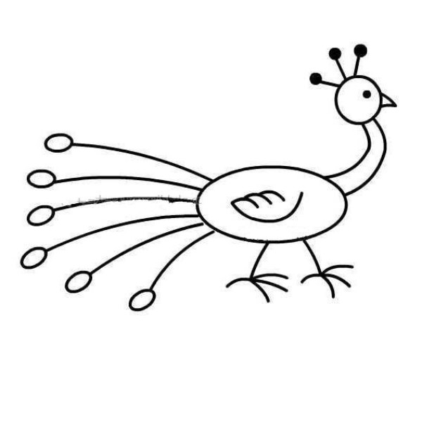 Four simple drawings of peacocks for children