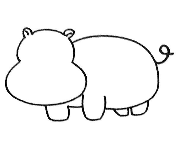 Learn to draw a hippopotamus in four steps