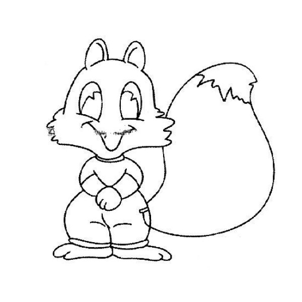 Ten simple drawing pictures of squirrels