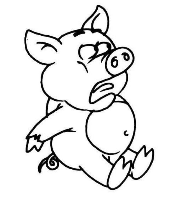 Cartoon animal simple drawing piglet