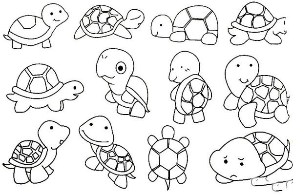 Complete collection of turtle simple strokes and drawing steps