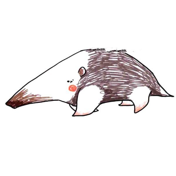 Cute anteater