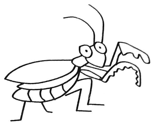 A set of cartoon mantis simple drawing pictures