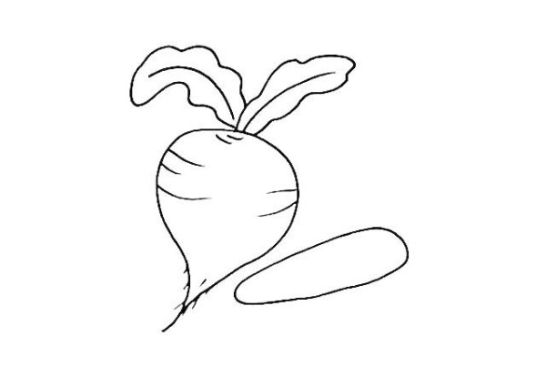 How to draw a radish in simple strokes