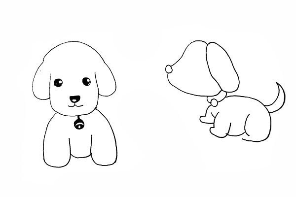 How to draw a cute puppy