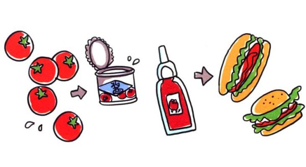 Draw a cute simple drawing of a healthy and refreshing tomato in four steps