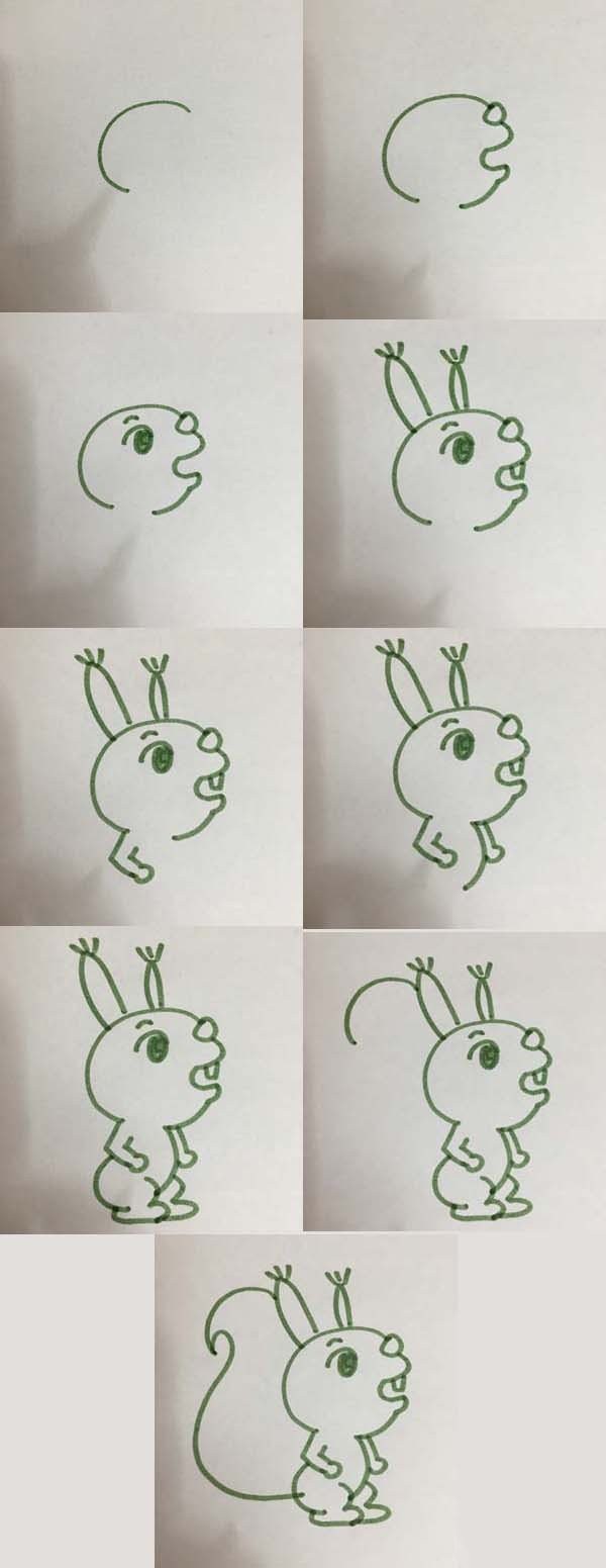 Simple drawing tutorial Step by step drawing of squirrel