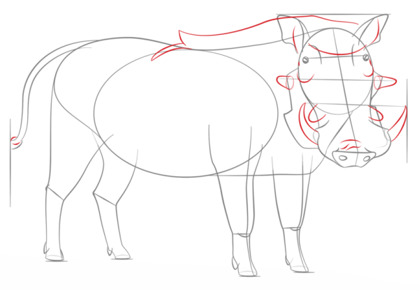 How to Draw a Warthog