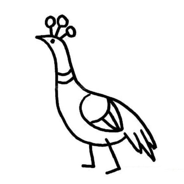 Simple drawing method of peacock for children