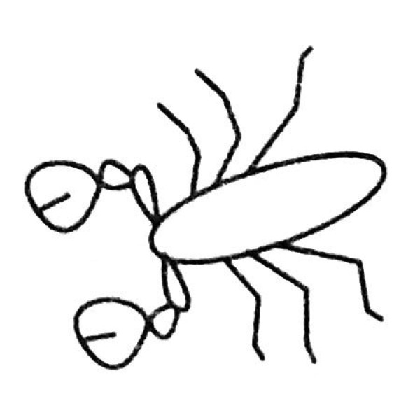 Simple drawing pictures and steps of scorpion