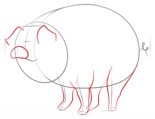 How to Draw a Cartoon Pig Simple Drawing