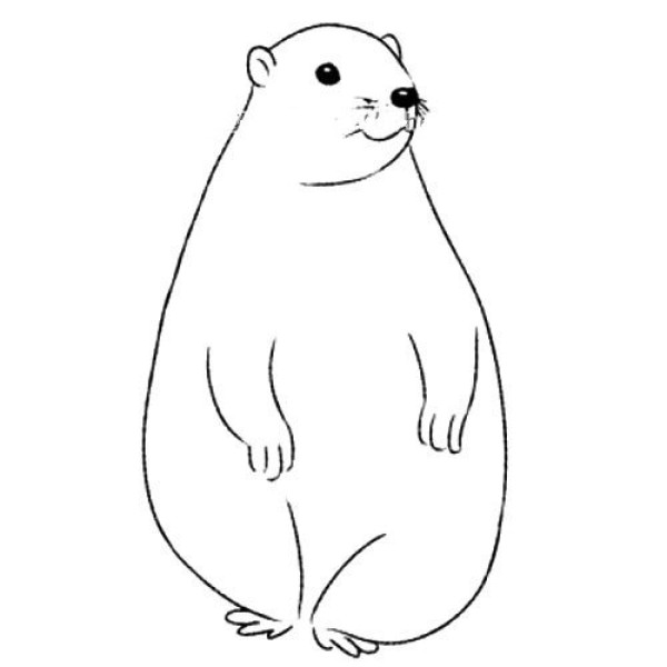 Groundhog simple drawing tutorial