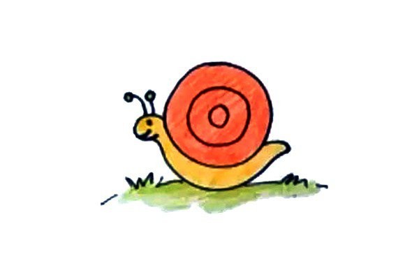 How to draw a little snail