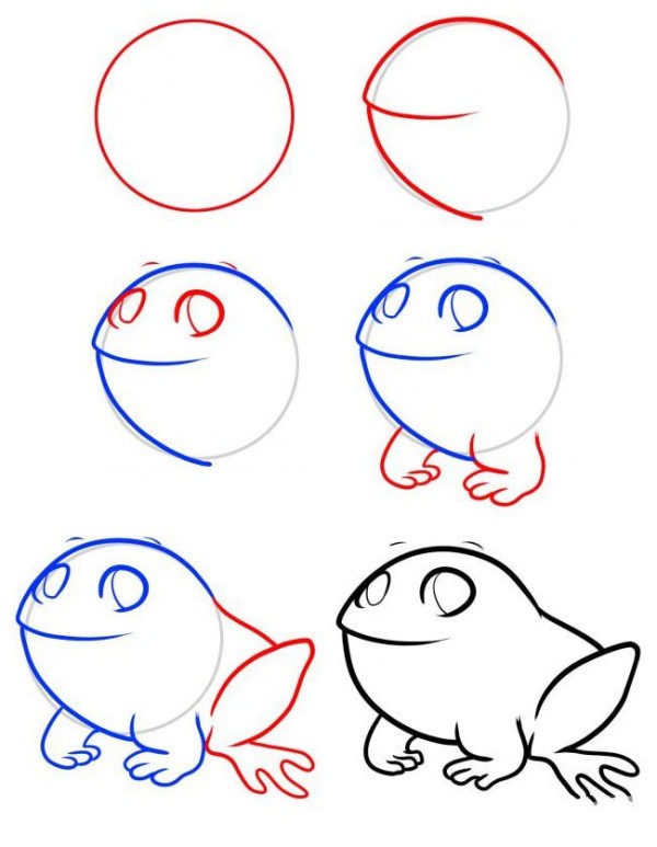 Step by step drawing of a chubby frog