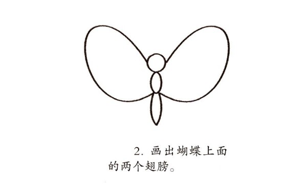 Learn to draw flowers and butterflies step by step