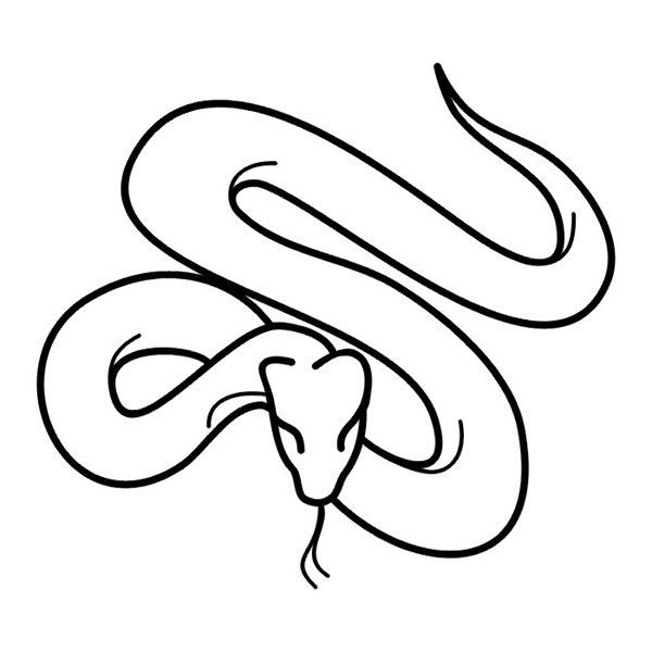 Simple drawing of reptile snake