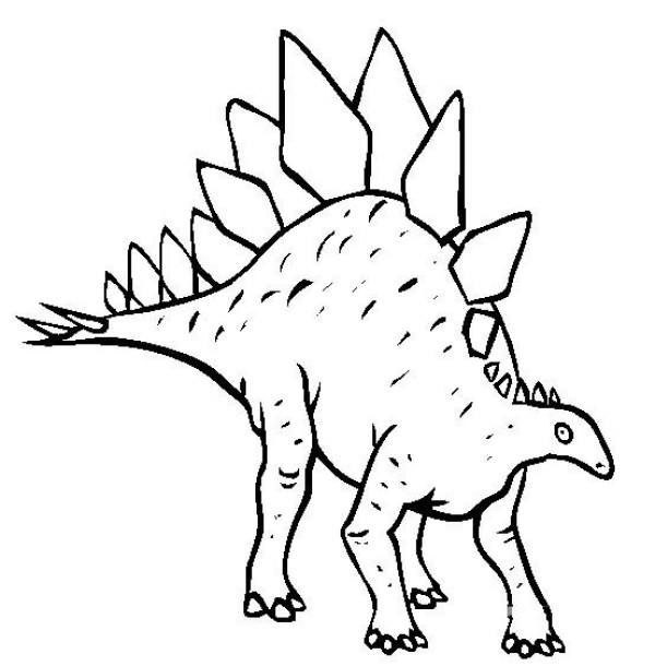 Dinosaur picture collection Stegosaurus simple strokes picture