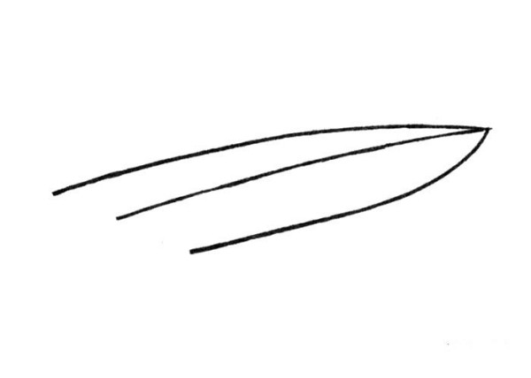 Steps to draw simple strokes of small speedboat