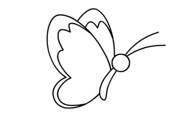 Simple drawing animation tutorial: butterfly drawing decomposition steps