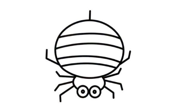 Complete collection of simple drawings of insects and simple drawings of spiders