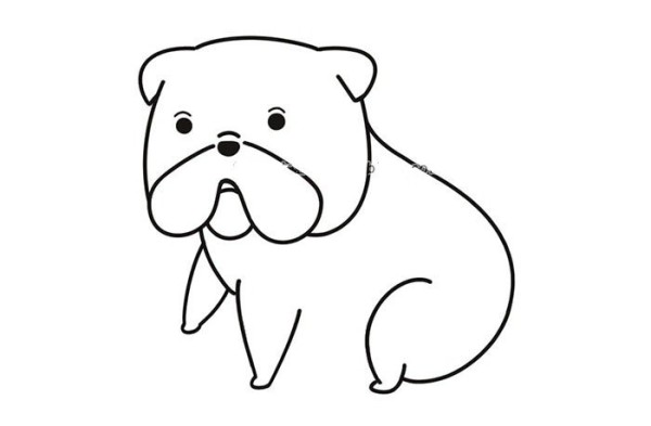 Draw a super cute bulldog