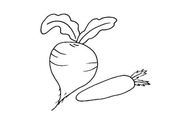 How to draw a radish in simple strokes